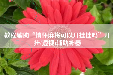 教程辅助“情怀麻将可以开挂挂吗”开挂(透视)辅助神器