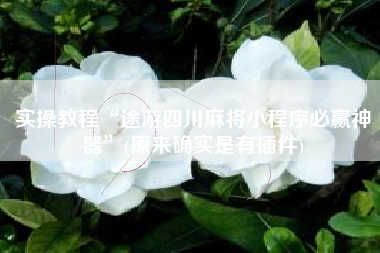 实操教程“途游四川麻将小程序必赢神器”(原来确实是有插件)