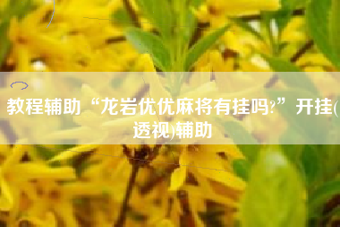 教程辅助“龙岩优优麻将有挂吗?	”开挂(透视)辅助