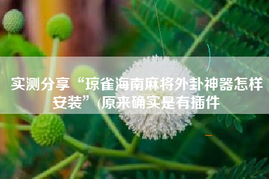 实测分享“琼雀海南麻将外卦神器怎样安装”(原来确实是有插件