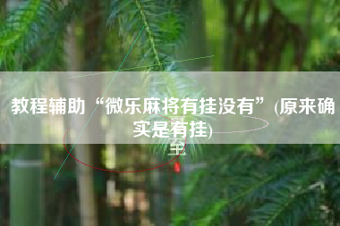 教程辅助“微乐麻将有挂没有”(原来确实是有挂)