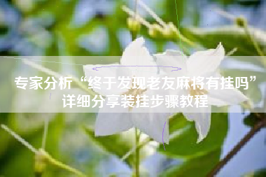 专家分析“终于发现老友麻将有挂吗”详细分享装挂步骤教程