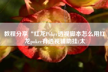 教程分享“红龙Poker透视脚本怎么用红龙poker有透视辅助挂(太
