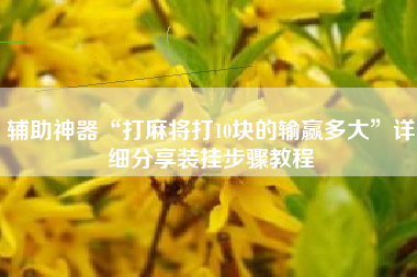 辅助神器“打麻将打10块的输赢多大”详细分享装挂步骤教程