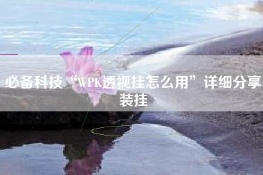 必备科技“WPK透视挂怎么用”详细分享装挂
