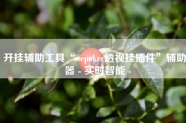 开挂辅助工具“wepoker透视挂插件	”辅助器 - 实时智能