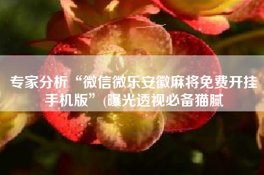 专家分析“微信微乐安徽麻将免费开挂手机版	”(曝光透视必备猫腻