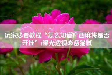 玩家必看教程“怎么知道广西麻将是否开挂	”(曝光透视必备猫腻