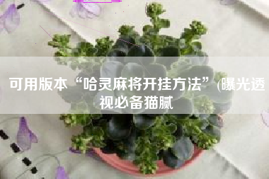 可用版本“哈灵麻将开挂方法”(曝光透视必备猫腻