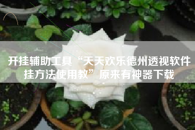 开挂辅助工具“天天欢乐德州透视软件挂方法使用教	”原来有神器下载