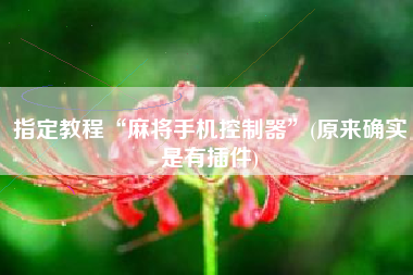 指定教程“麻将手机控制器”(原来确实是有插件)