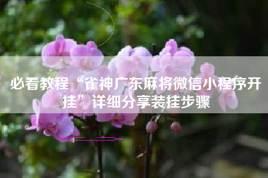 必看教程“雀神广东麻将微信小程序开挂	”详细分享装挂步骤