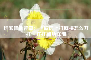 玩家辅助神器：“微信上打麻将怎么开挂	”开挂辅助详细