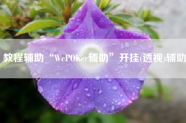 教程辅助“WePOKer辅助	”开挂(透视)辅助