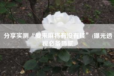 分享实测“爱来麻将有没有挂	”(曝光透视必备猫腻